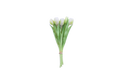 Mazzo tulipani in gomma 5pz 31cm bianco