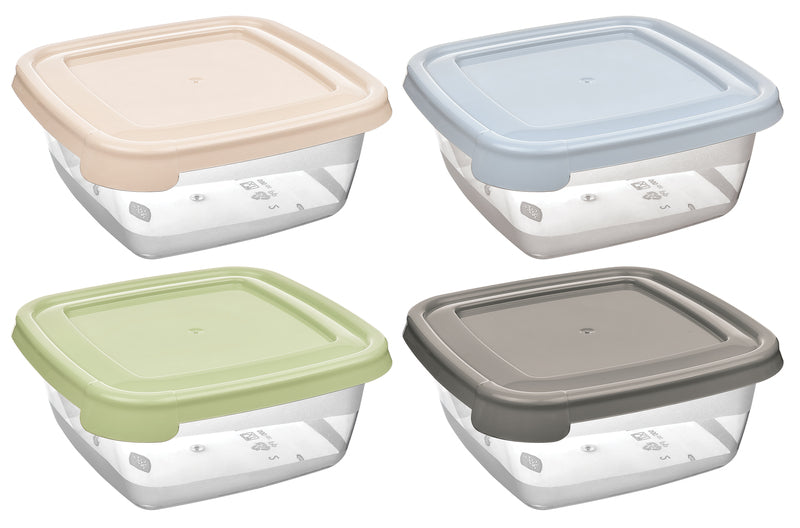 Contenitore Quad Keeper color cm. 13x13x5,5  250 ML colori assortiti